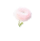 small_logo